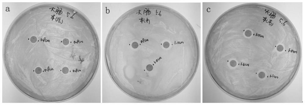 Virus transport medium and its preparation method and application