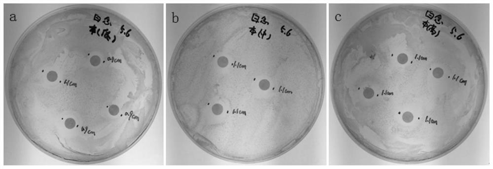 Virus transport medium and its preparation method and application