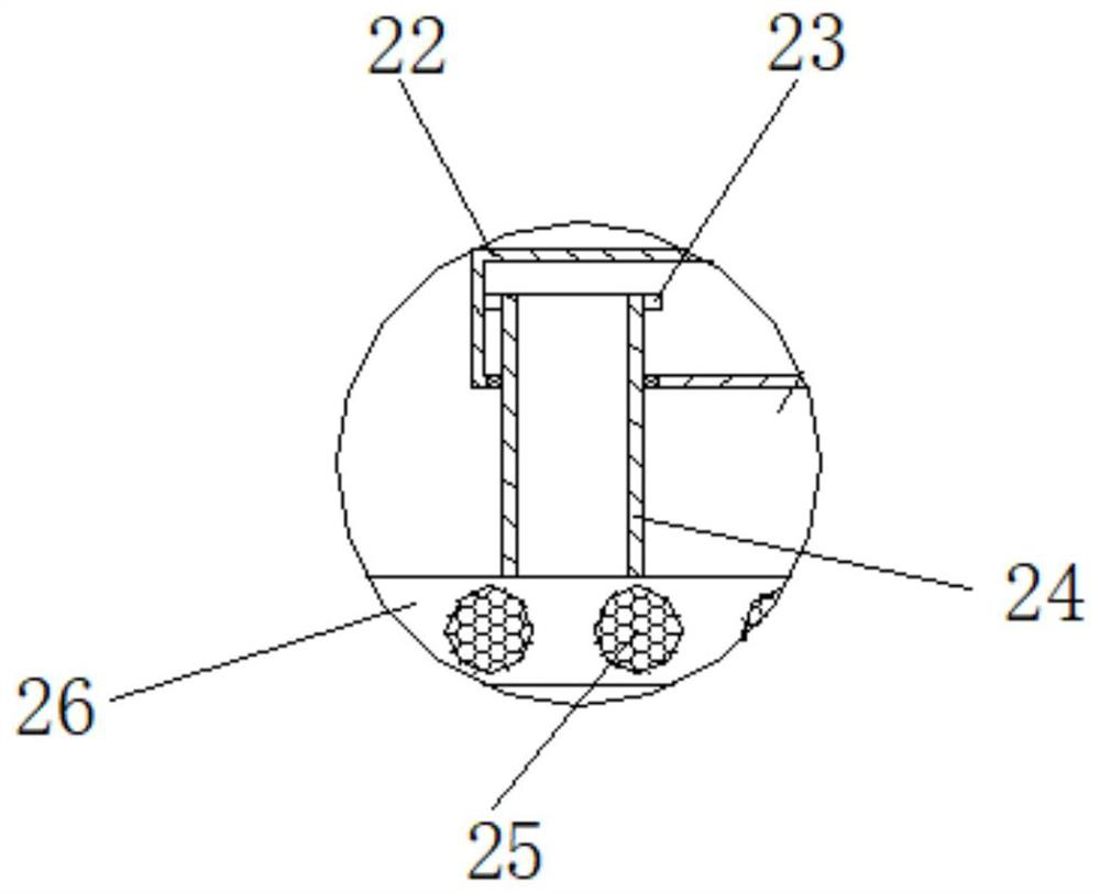 Cardiovascular and cerebrovascular detection device and method