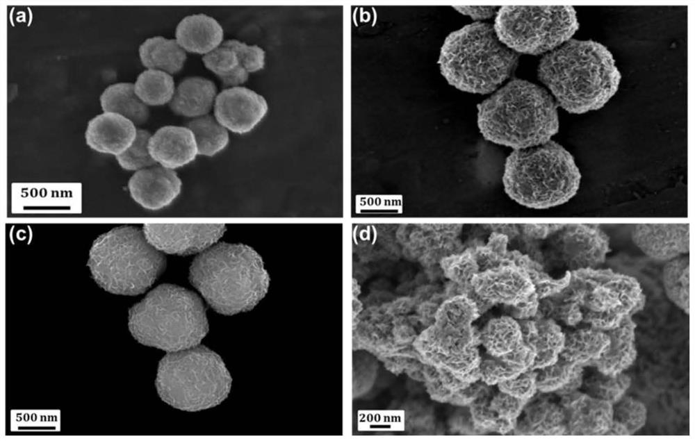 Preparation method of WS2/FeS nanosphere hybrid catalyst and application thereof