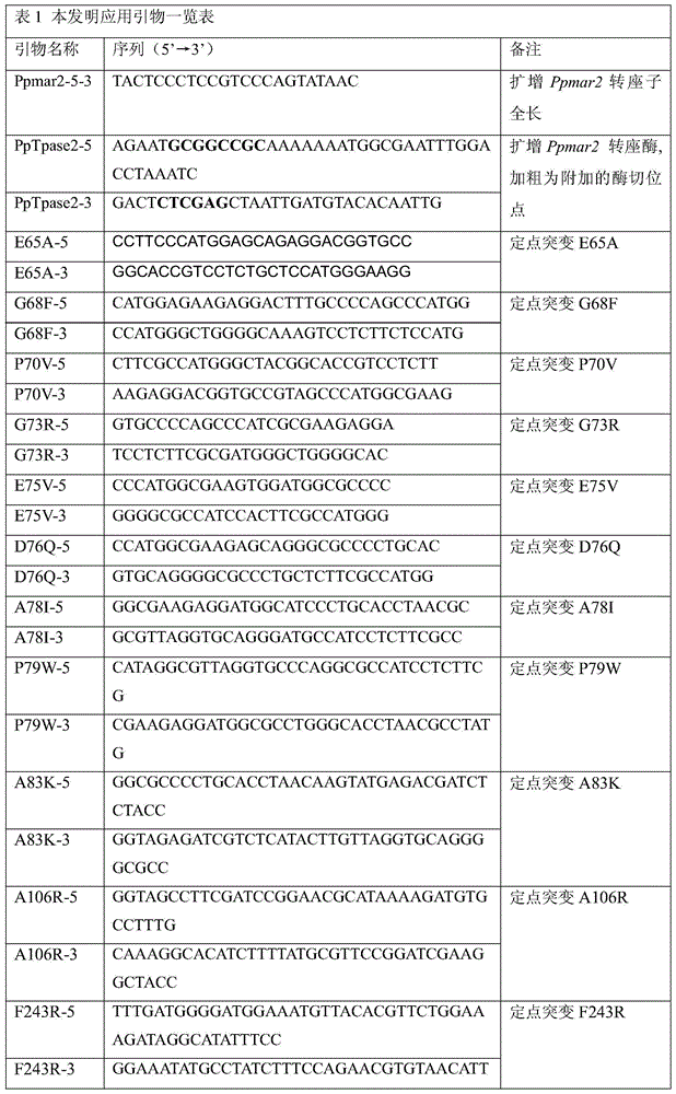 Artificially modified high-activity Mariner-Like transposase