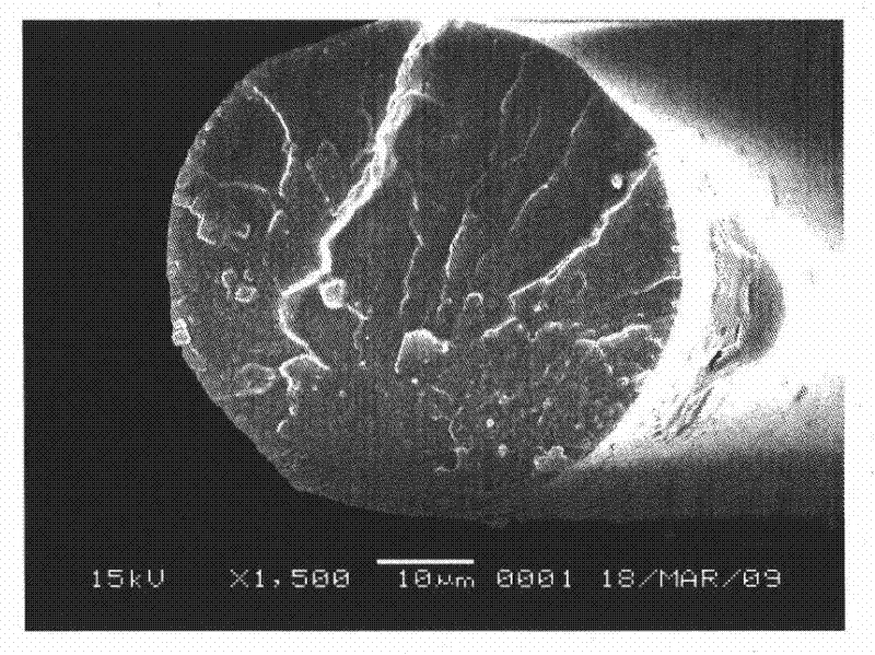 Method for preparing pre-oxidized polyacrylonitrile fiber by melt spinning