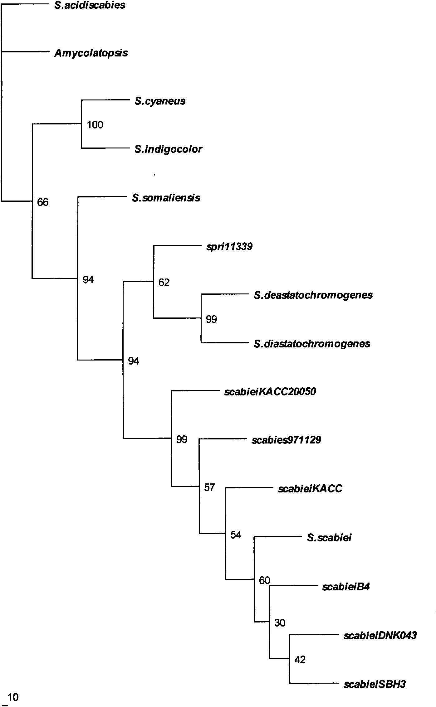 Streptomyces diastochromogenes, fermentation product and application thereof