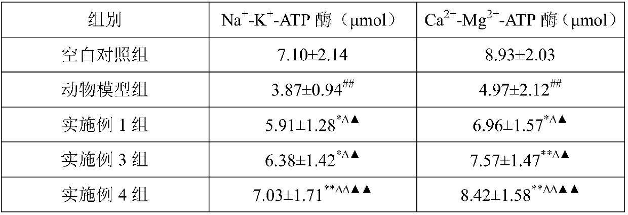 Chinese date compound composition and preparation method thereof