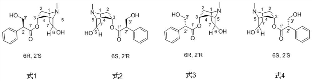 A kind of chiral separation method of four isomers in racemic anisodamine