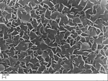 Method for preparing Al mixed with ZnO nanosheet array by adopting pulsed electromagnetic field