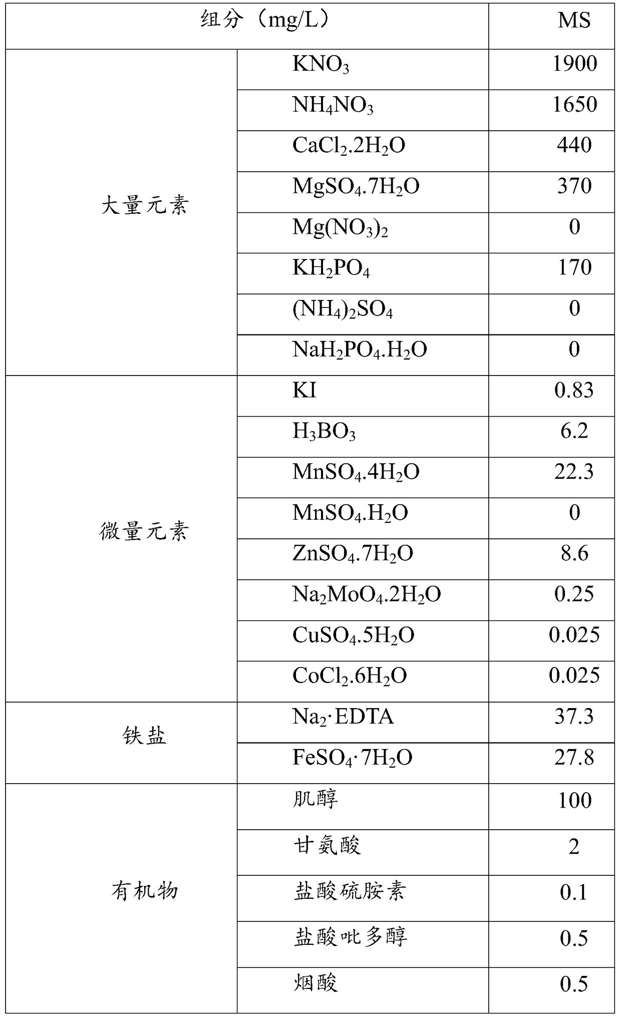 Improve the method of tissue culture multiplication and strong seedling of bamboo root ginger