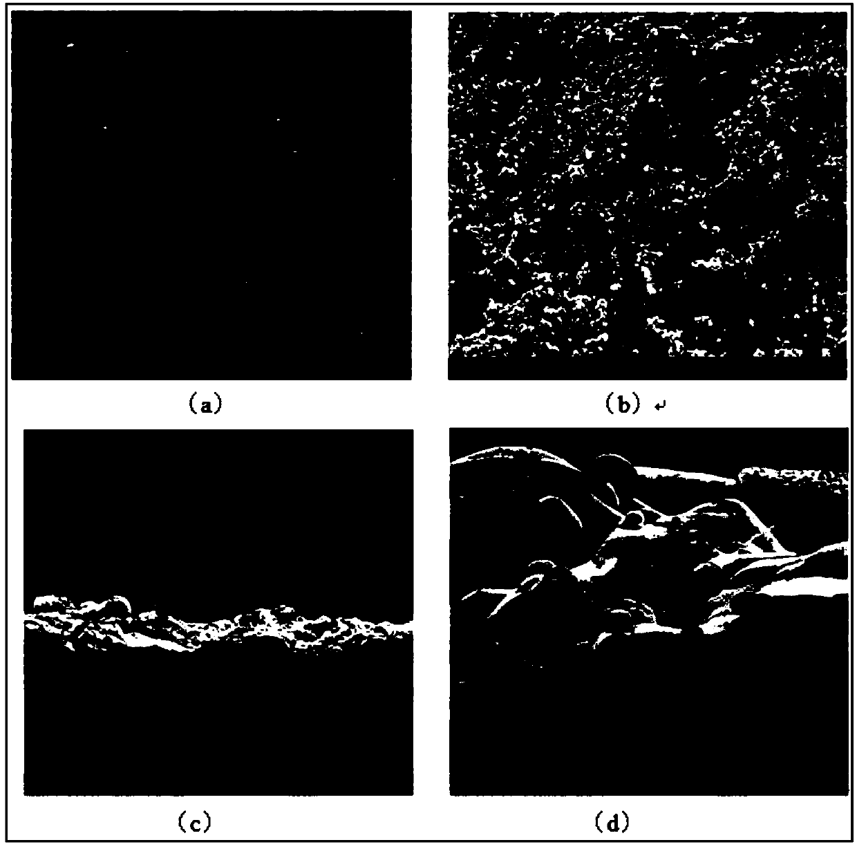 High-performance ceramic coating and preparing method thereof