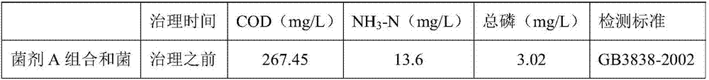 Compound microorganism combination microbial agent, preparation method and application thereof, comprehensive treatment method for black-odor river