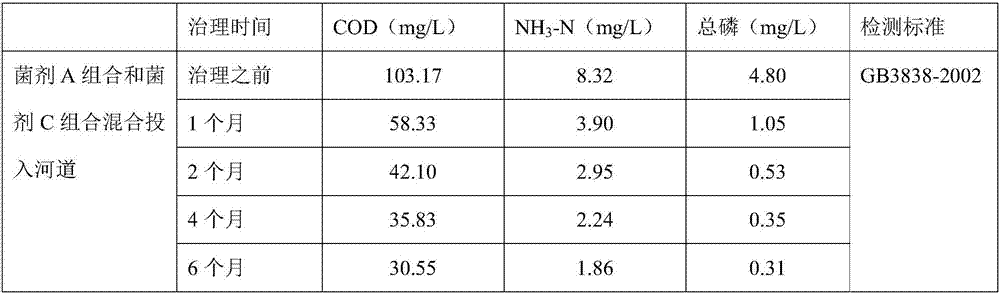 Compound microorganism combination microbial agent, preparation method and application thereof, comprehensive treatment method for black-odor river