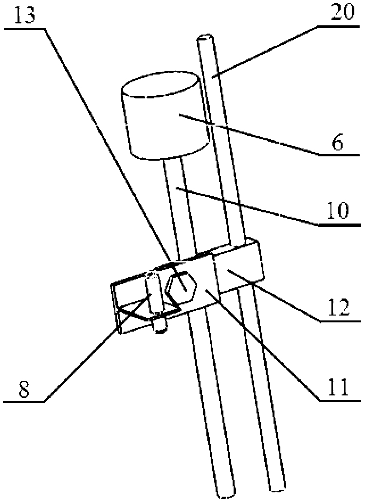 Automatic perfusion water dispenser and method for controlling automatic perfusion