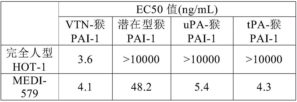 New anti-human pai-1 antibody