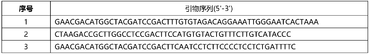 Primer for amplicon sequencing and two-step PCR database building method