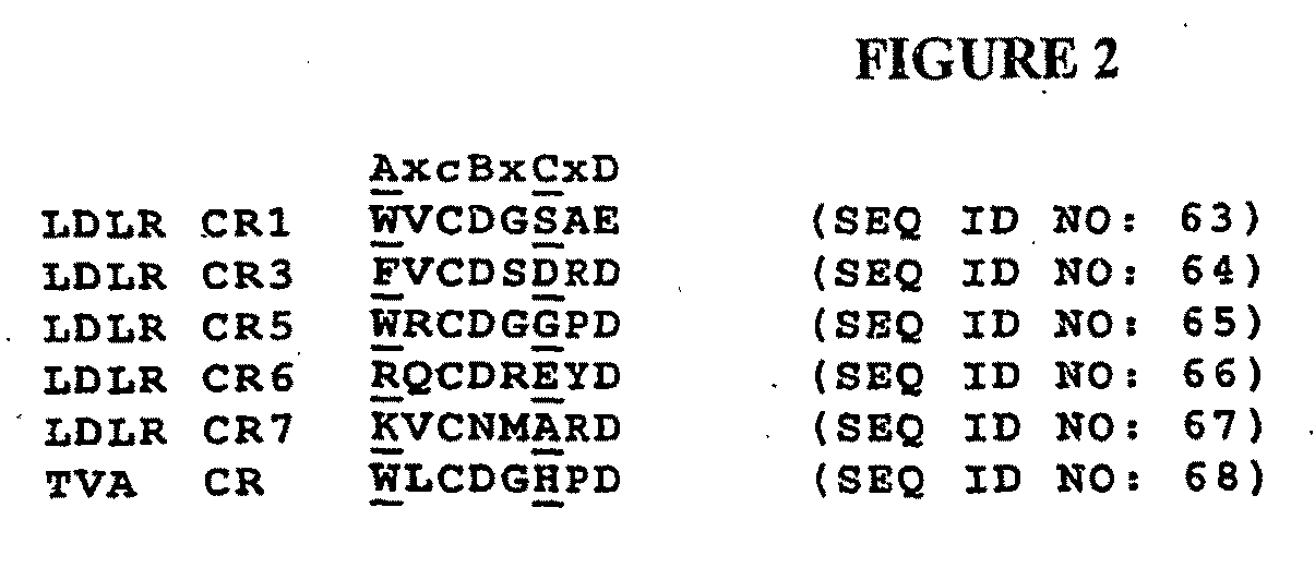 Compositions Comprising Receptor-Associated Protein (RAP) Variants Specific for LRP2 and Uses Thereof