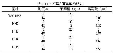 Method for constructing escherichia coli genetic engineering bacteria for producing fumaric acid