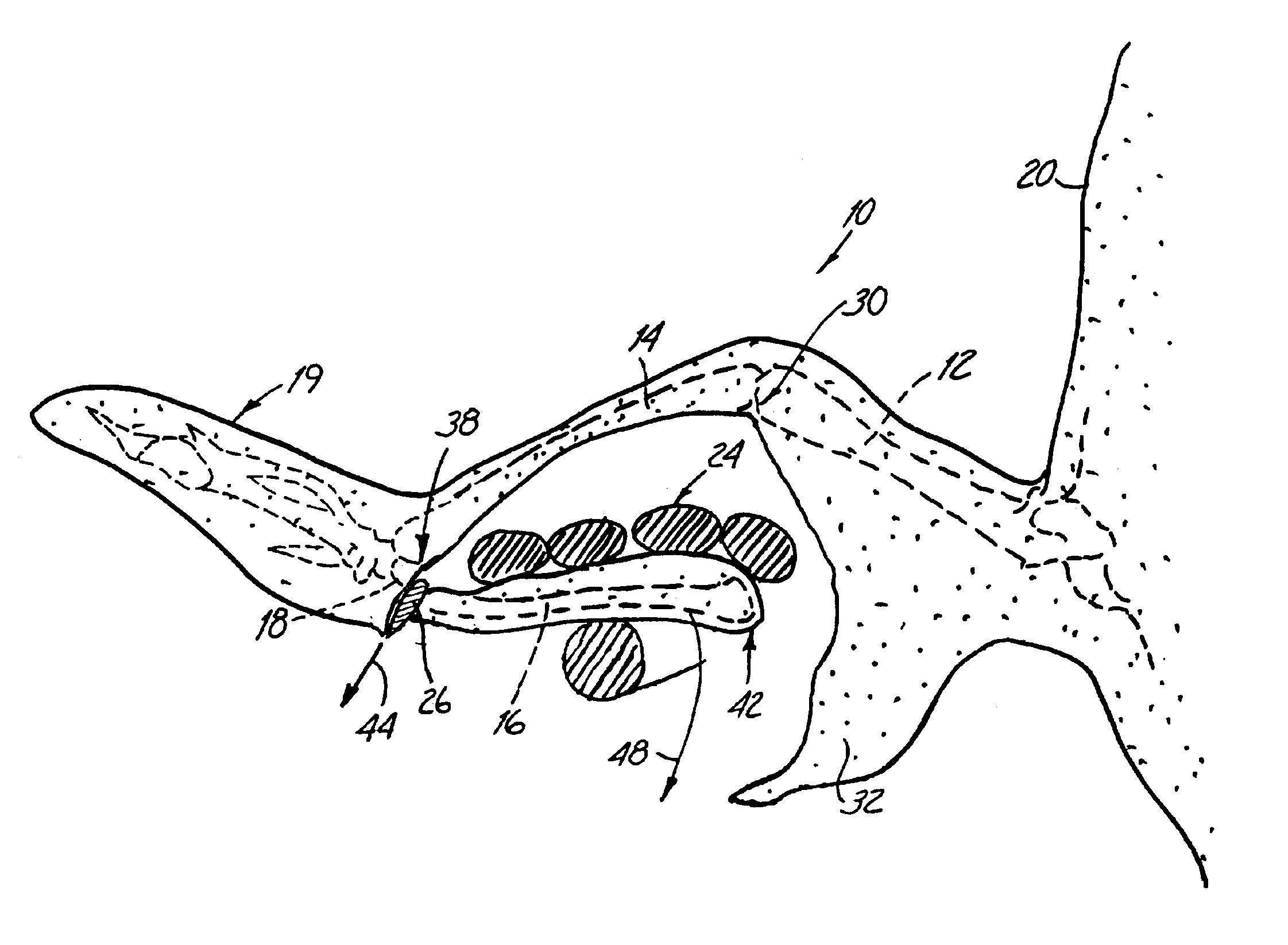 Method for making a fowl wing cut and the resultant product