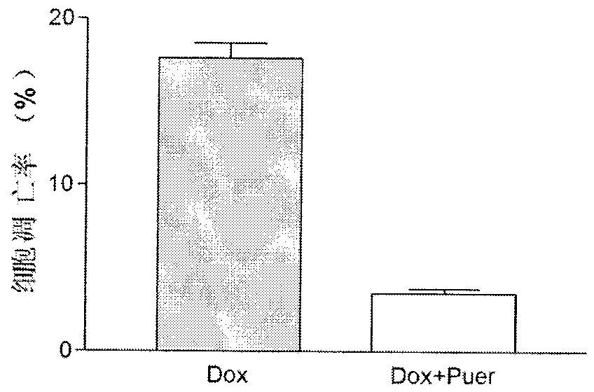 Composition based on main components of Pu'er tea and application thereof