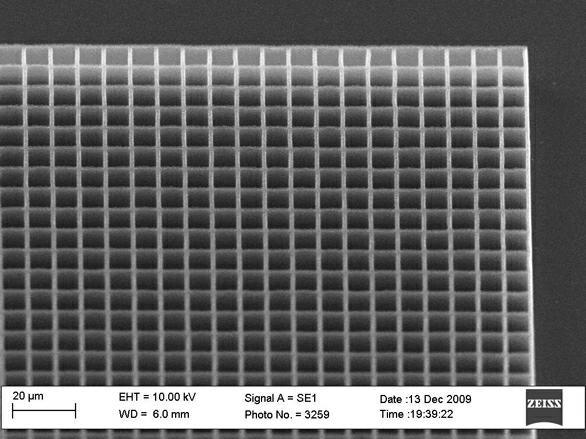 Orientated-growth latticed high-performance carbon nano-tube field emission array