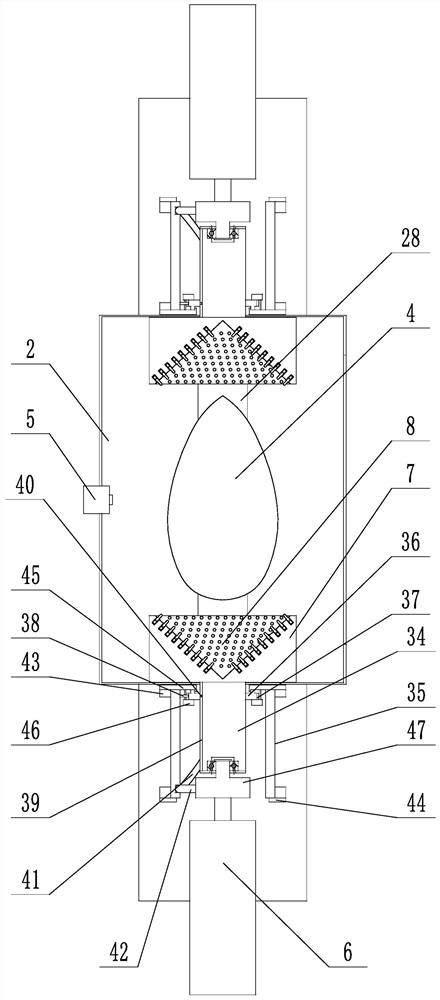 A non-destructive removal device for torreya shell