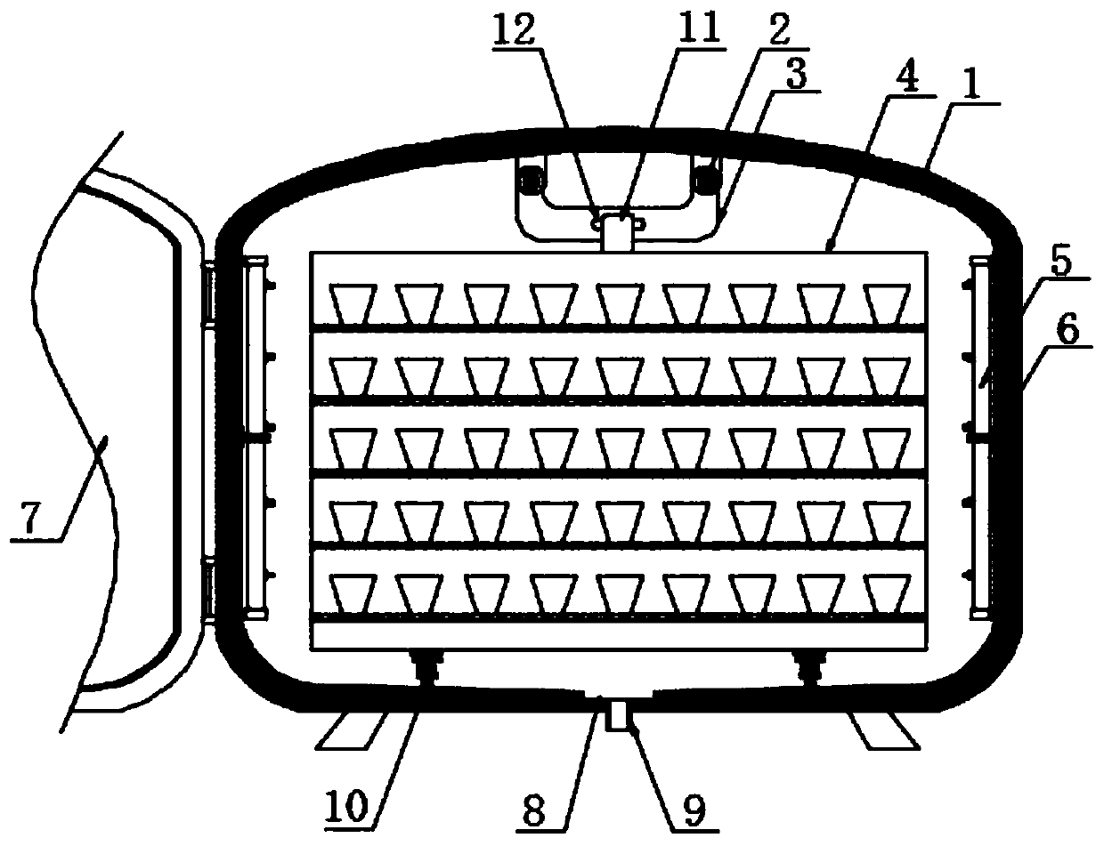 Seedling growing device convenient for transplanting for forestry planting