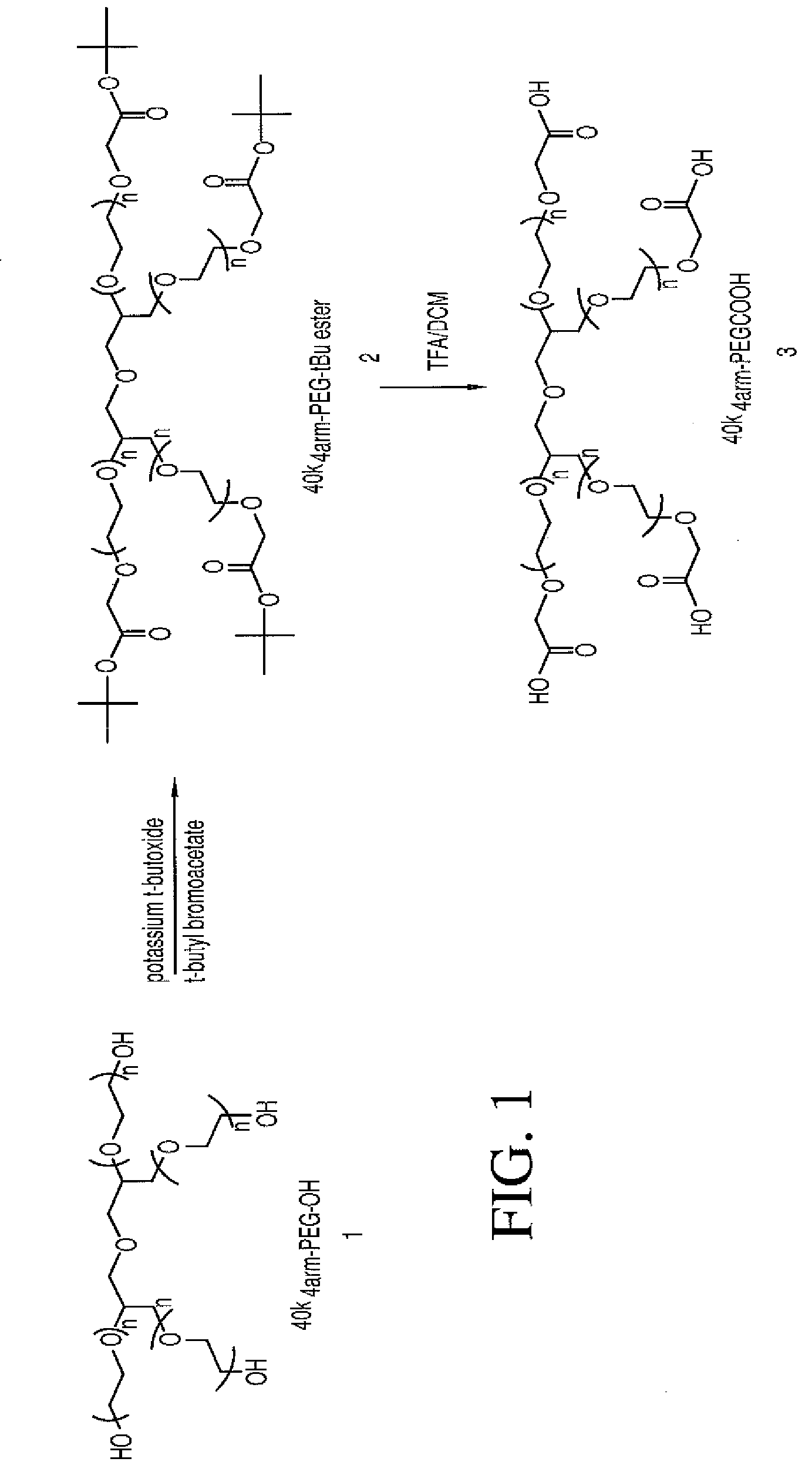 Multi-arm polymeric conjugates of 7-ethyl-10-hydroxycamptothecin for treatment of breast, colorectal, pancreatic, ovarian and lung cancers