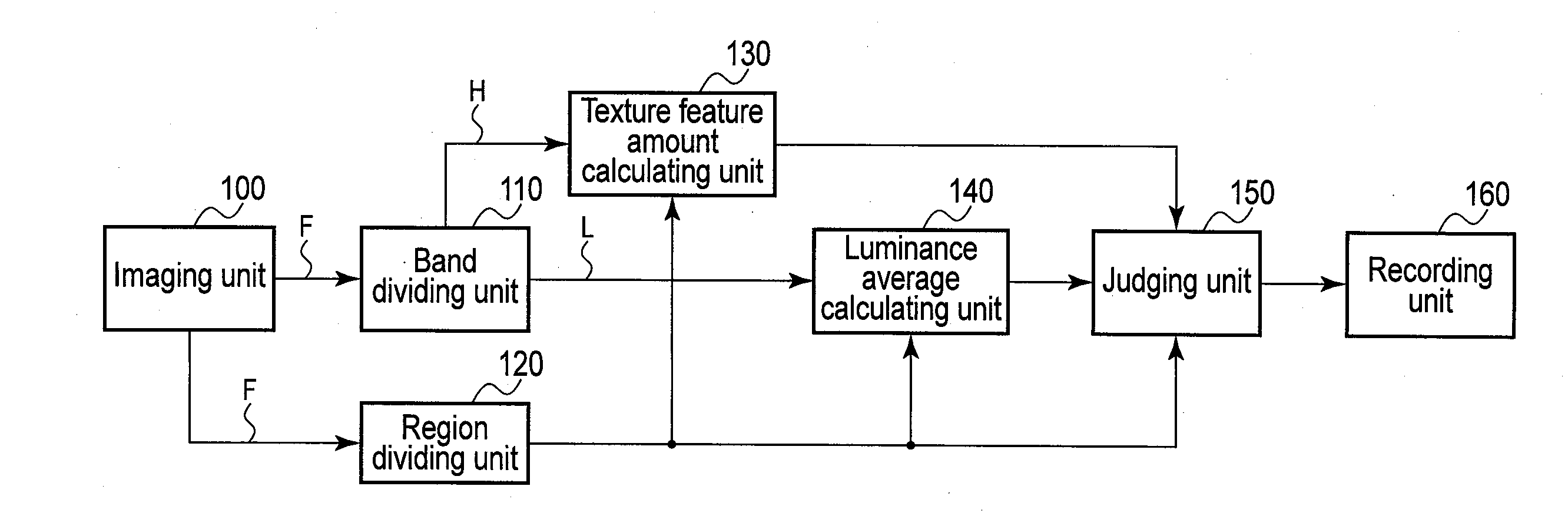 Necrotic cell region detection apparatus and method of the same, and non-transitory computer readable storage medium to store a necrotic cell region detection program