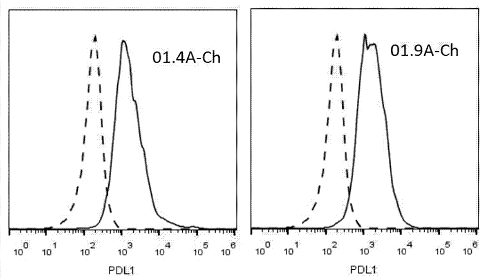 PDL1 monoclonal antibody and application thereof