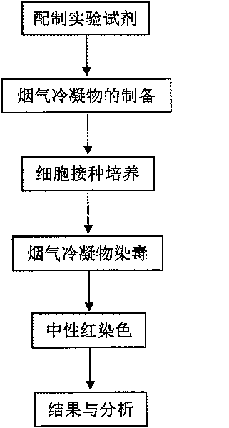 Method for measuring cytotoxicity of condensate of main stream smoke of cigarettes