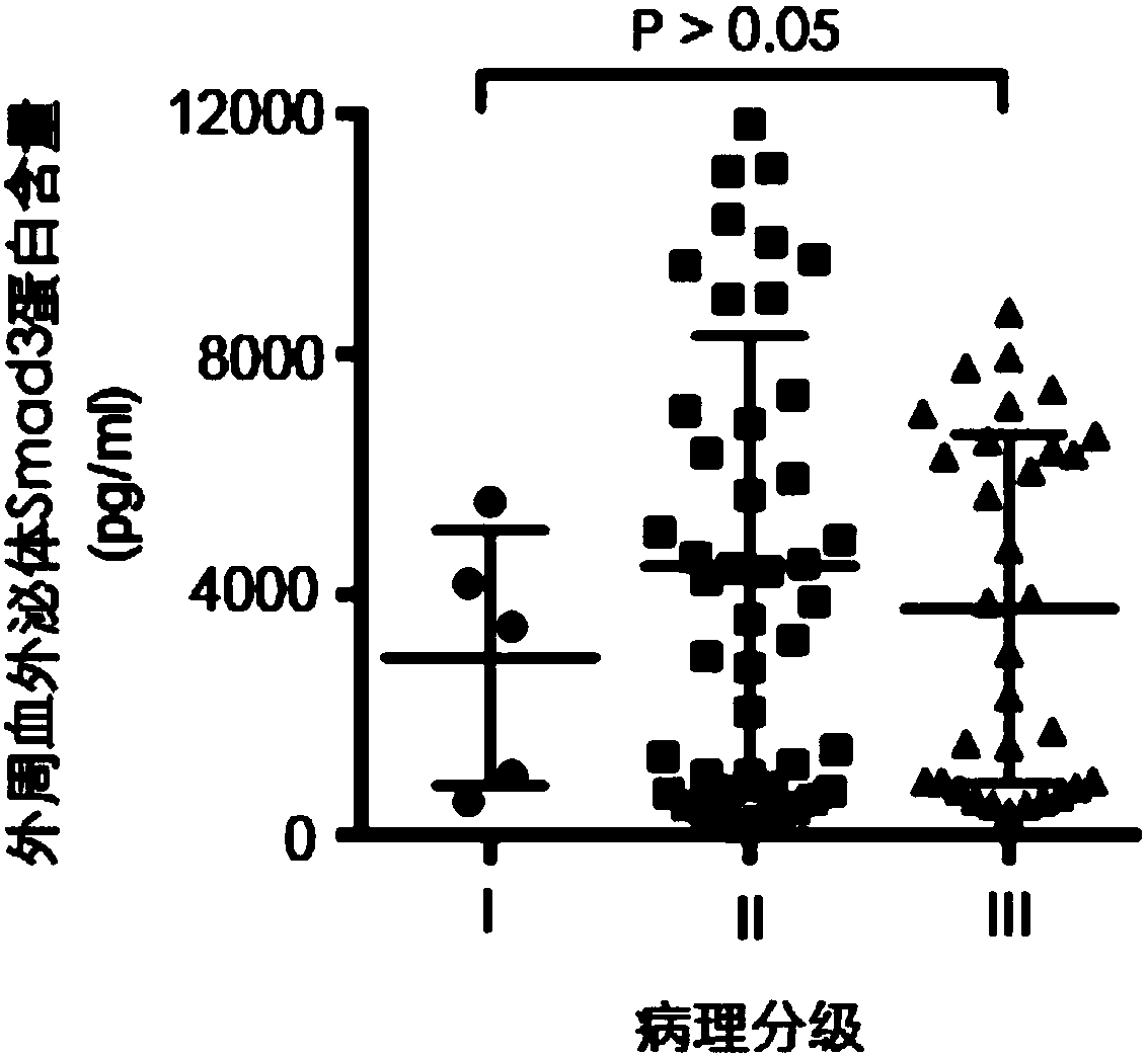 Use of Smad3 protein in peripheral blood exosome as molecular marker and liver cancer detection kit