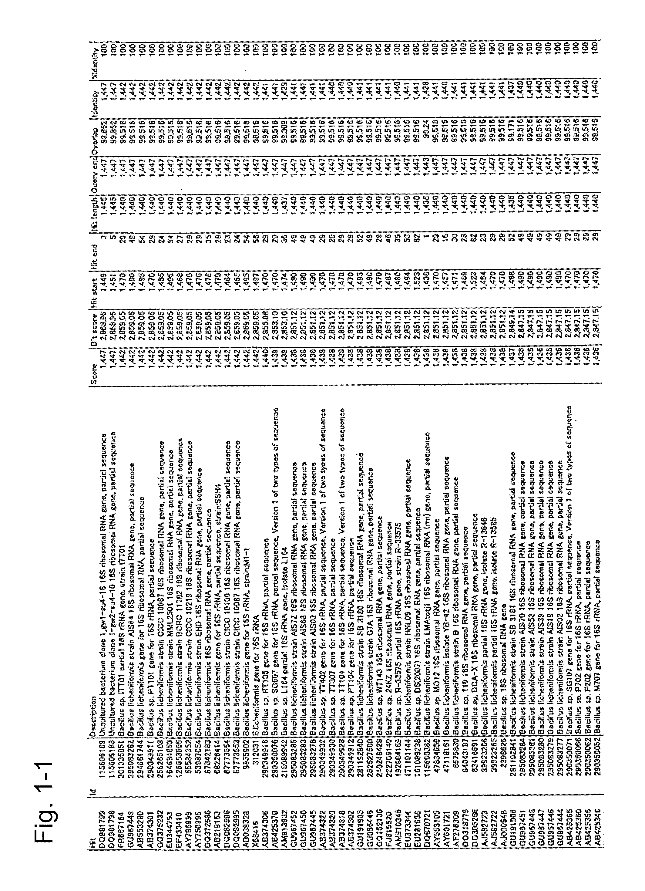 Microorganism and deodorizer containing the same