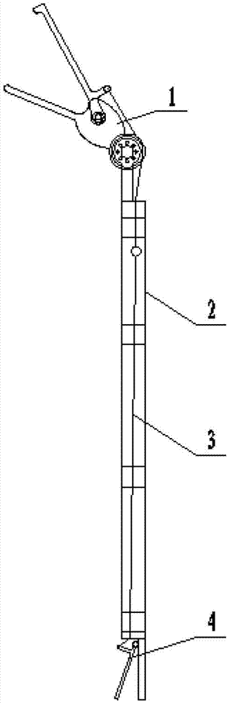 Tool for integrally removing nests