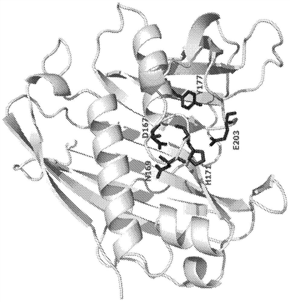 Materials and methods for biosynthetic manufacture of pimelic acid and utilization of synthetic polypeptides