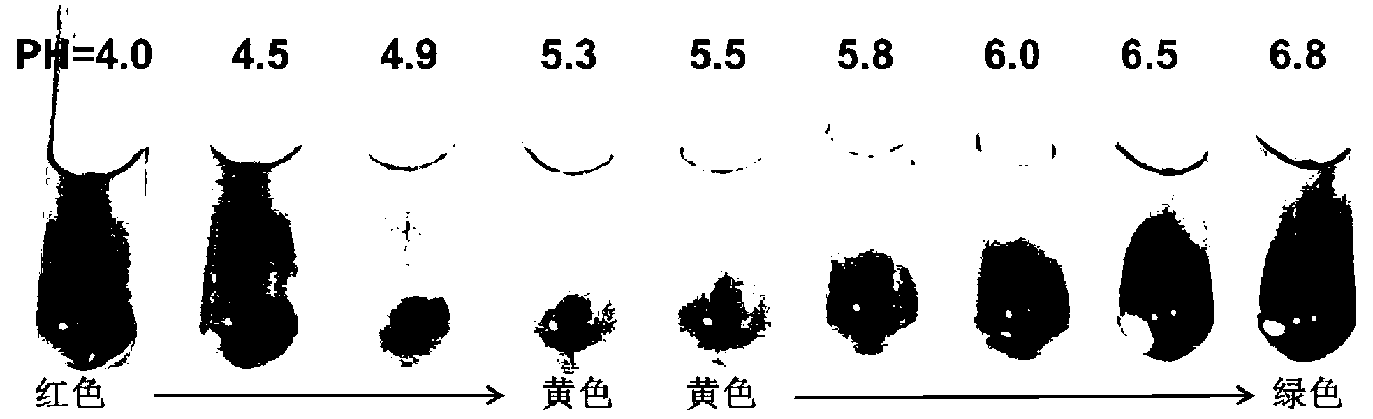 Culture medium used for separating and screening lactic acid bacteria, preparation method and application thereof