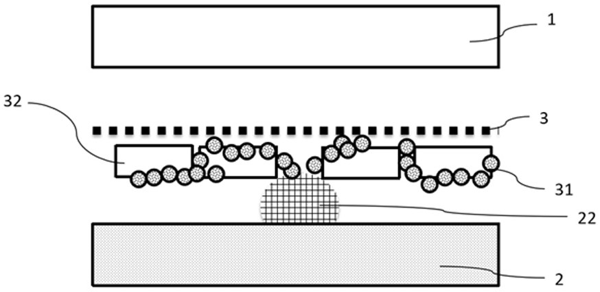 Diaphragm for lithium metal battery and preparation method thereof