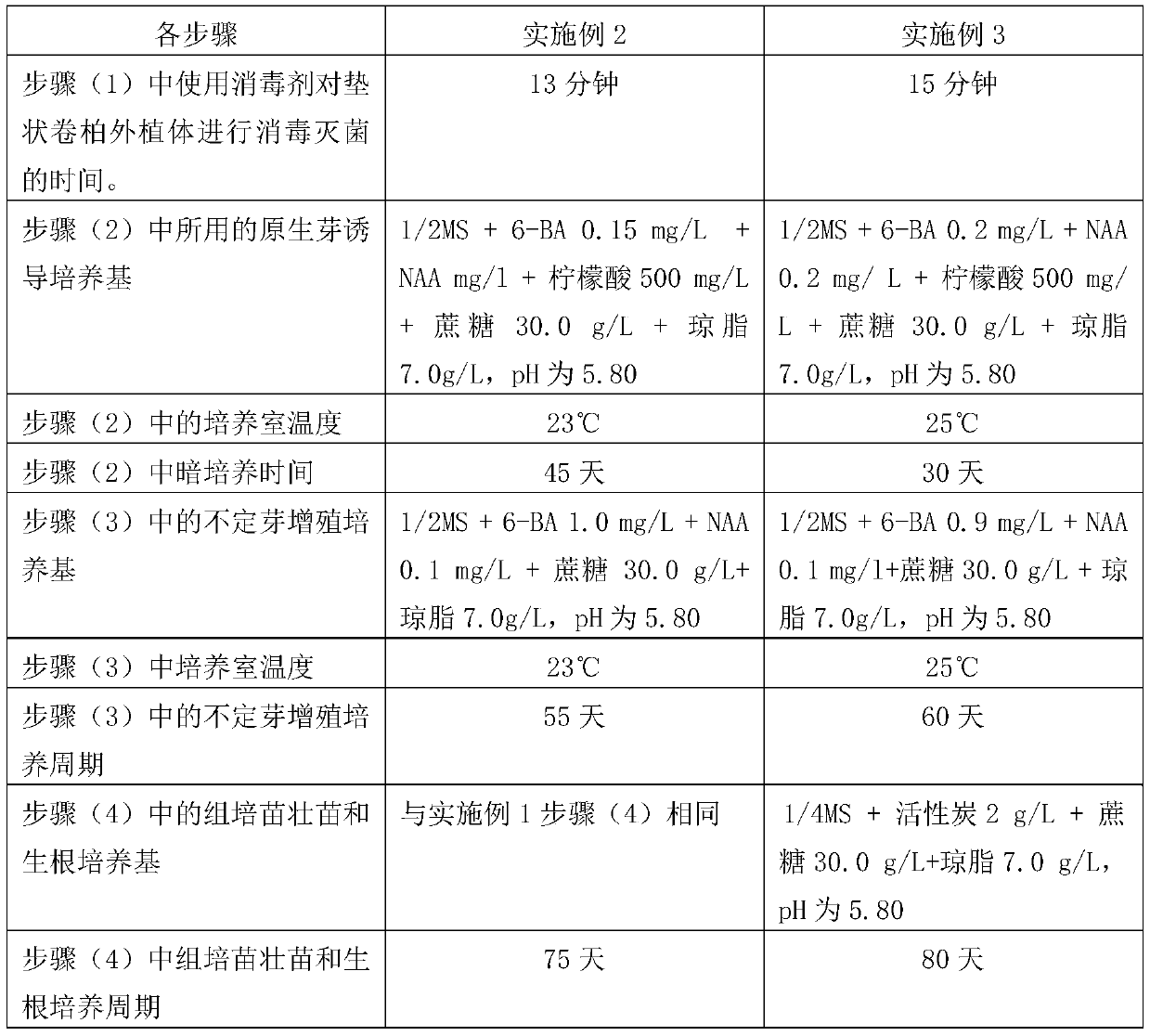 Resurrection plant selaginella pulvinata maxim tissue culture propagation method