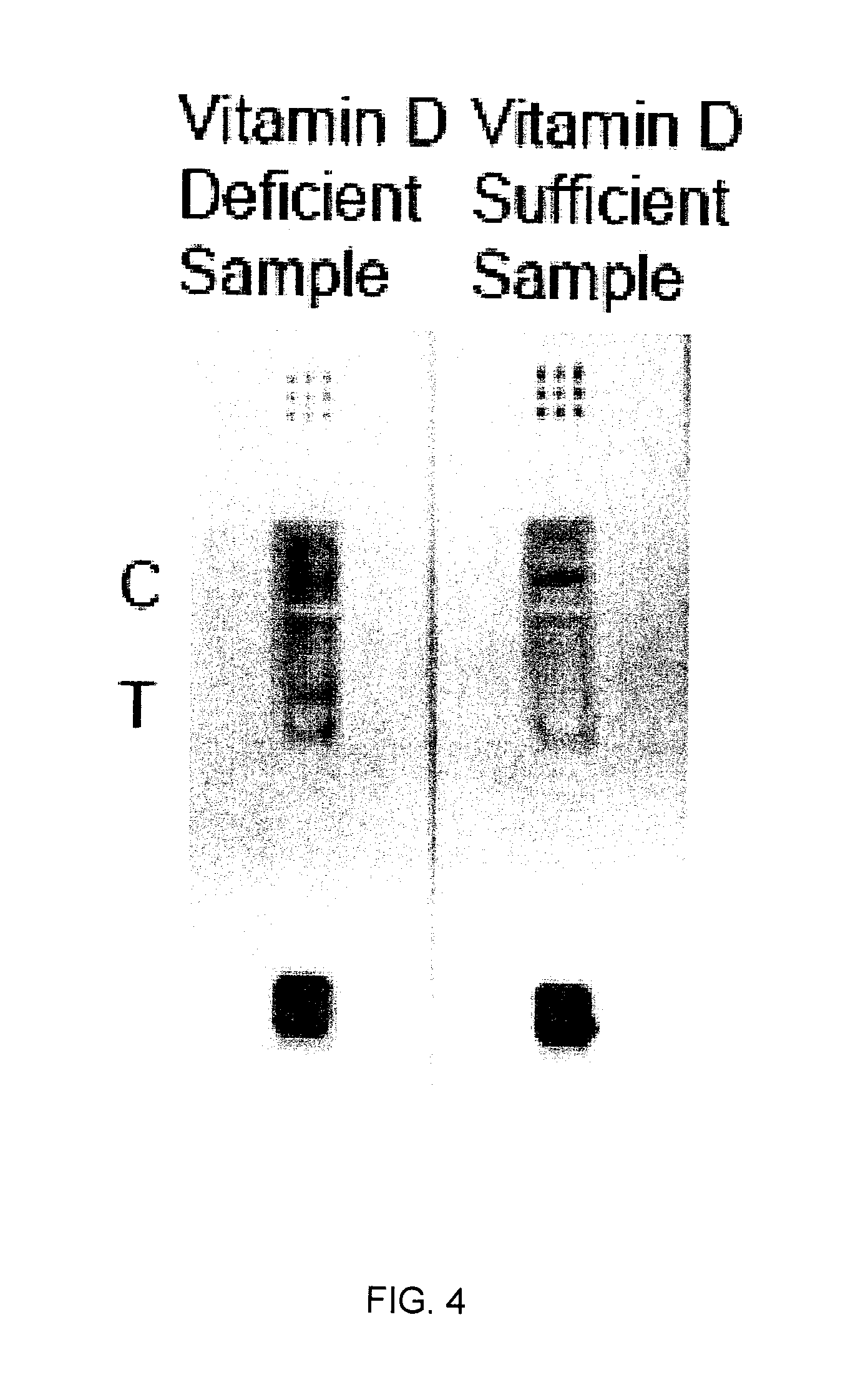 Lateral flow immunoassay for detecting vitamins