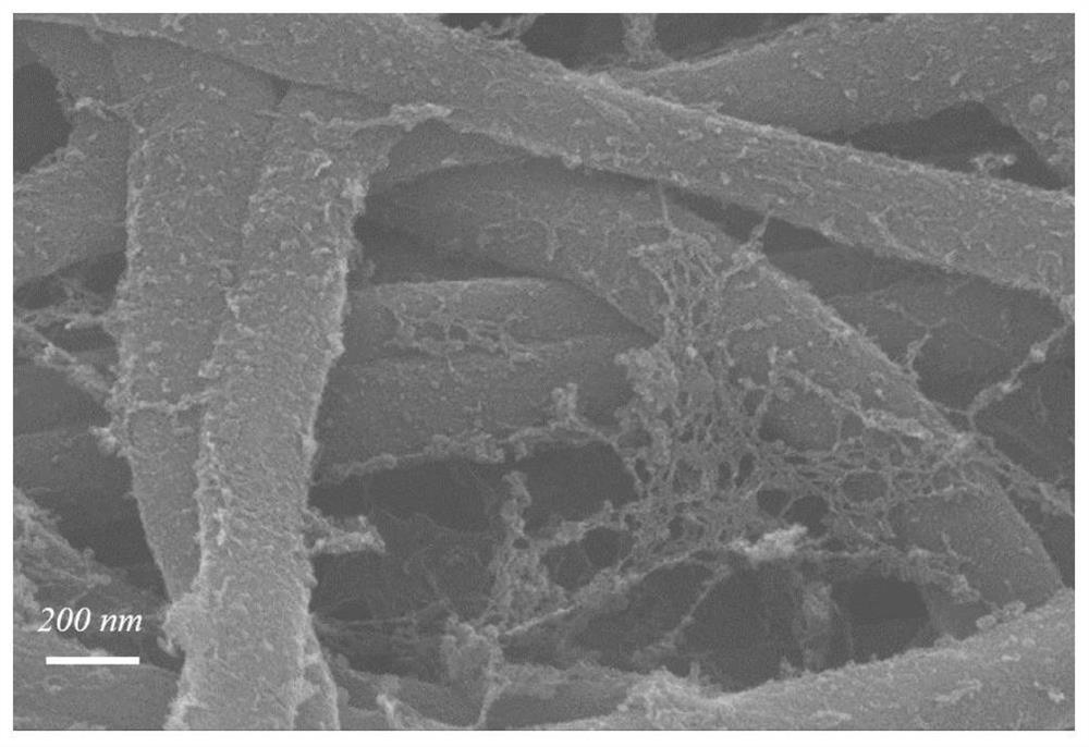 Process for integrating preparation and loading of catalyst layer in oxygen cathode membrane electrode