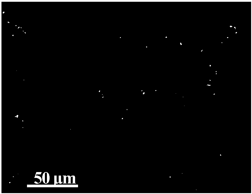 Magnesium alloy chromium-free conversion film homogenizing pretreatment method