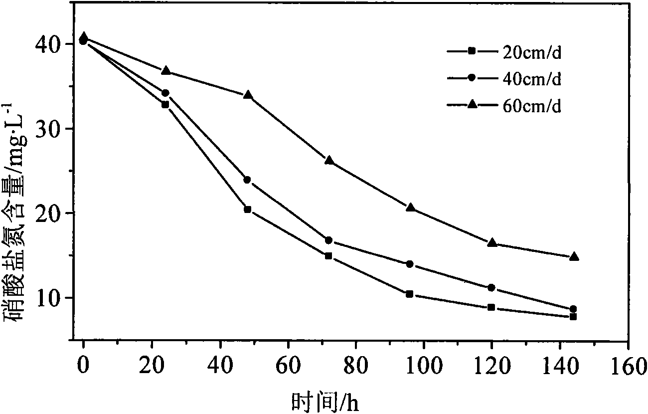 Method for remedying nitrate pollution in groundwater by adopting Klebsiella sp. DB-2