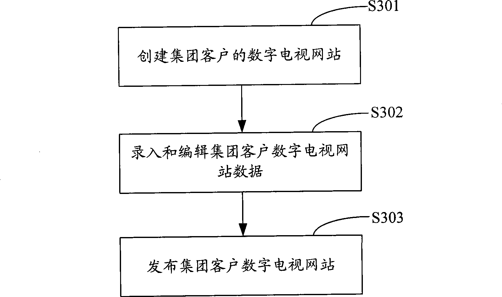 Digital television opening presenting method and system