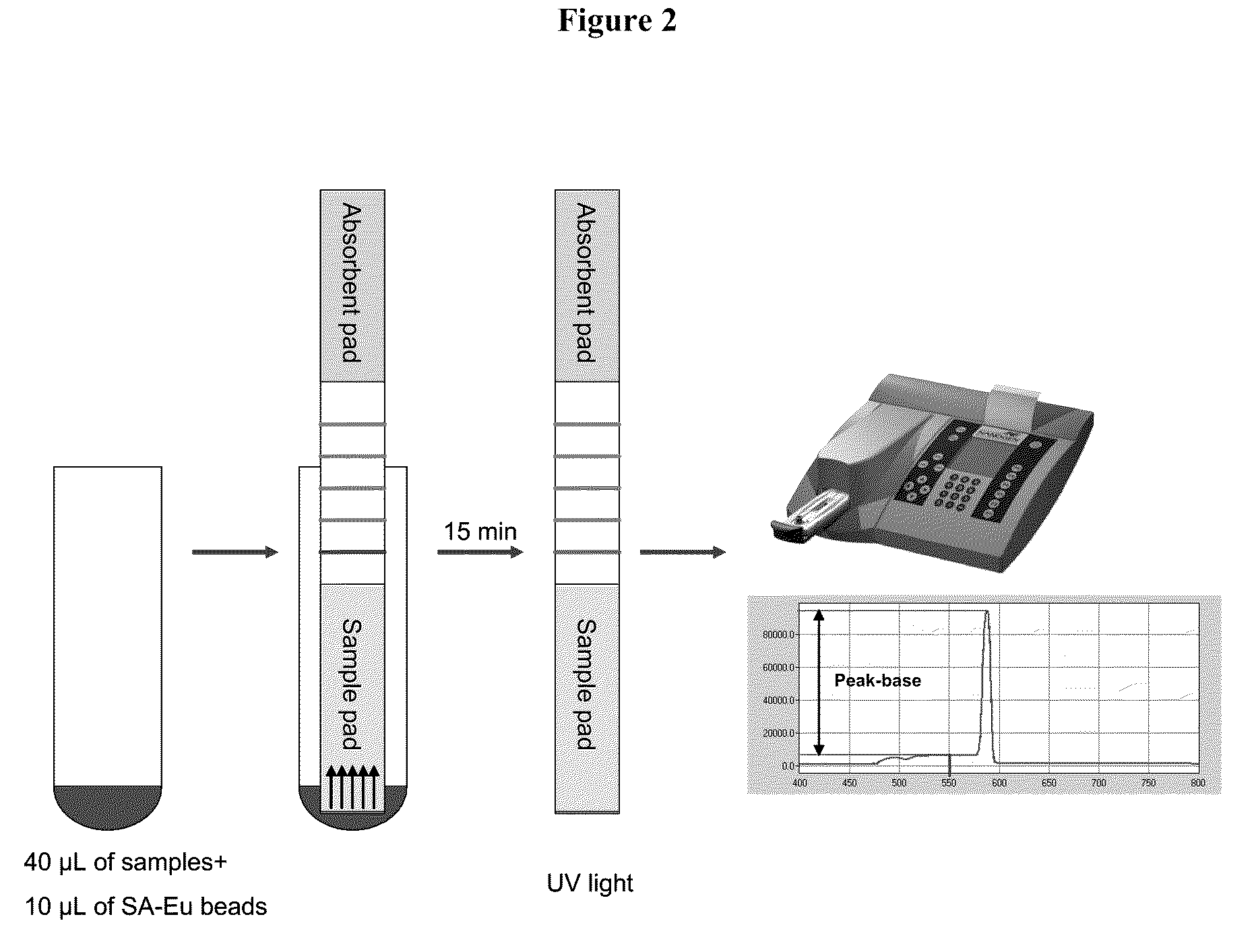 Methods for detecting nucleic acids in a sample