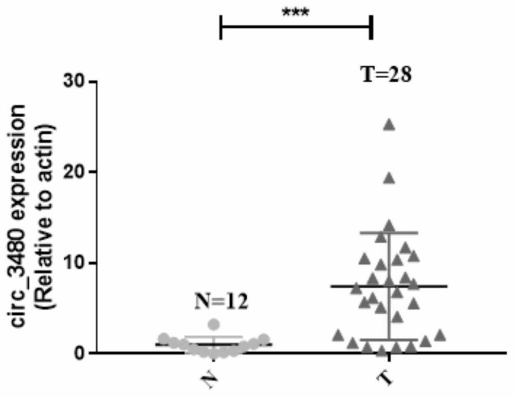 Application of circ_3480 in the preparation of nasopharyngeal carcinoma treatment preparations and treatment preparations