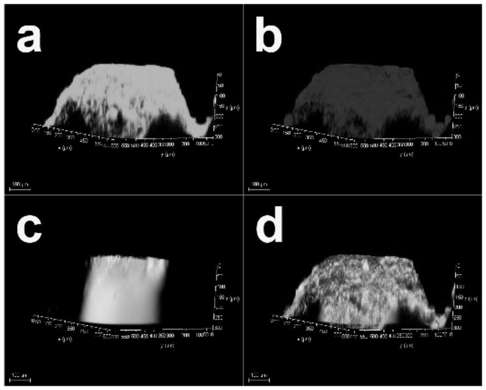 Bone defect repair tissue engineering scaffold and preparation method thereof