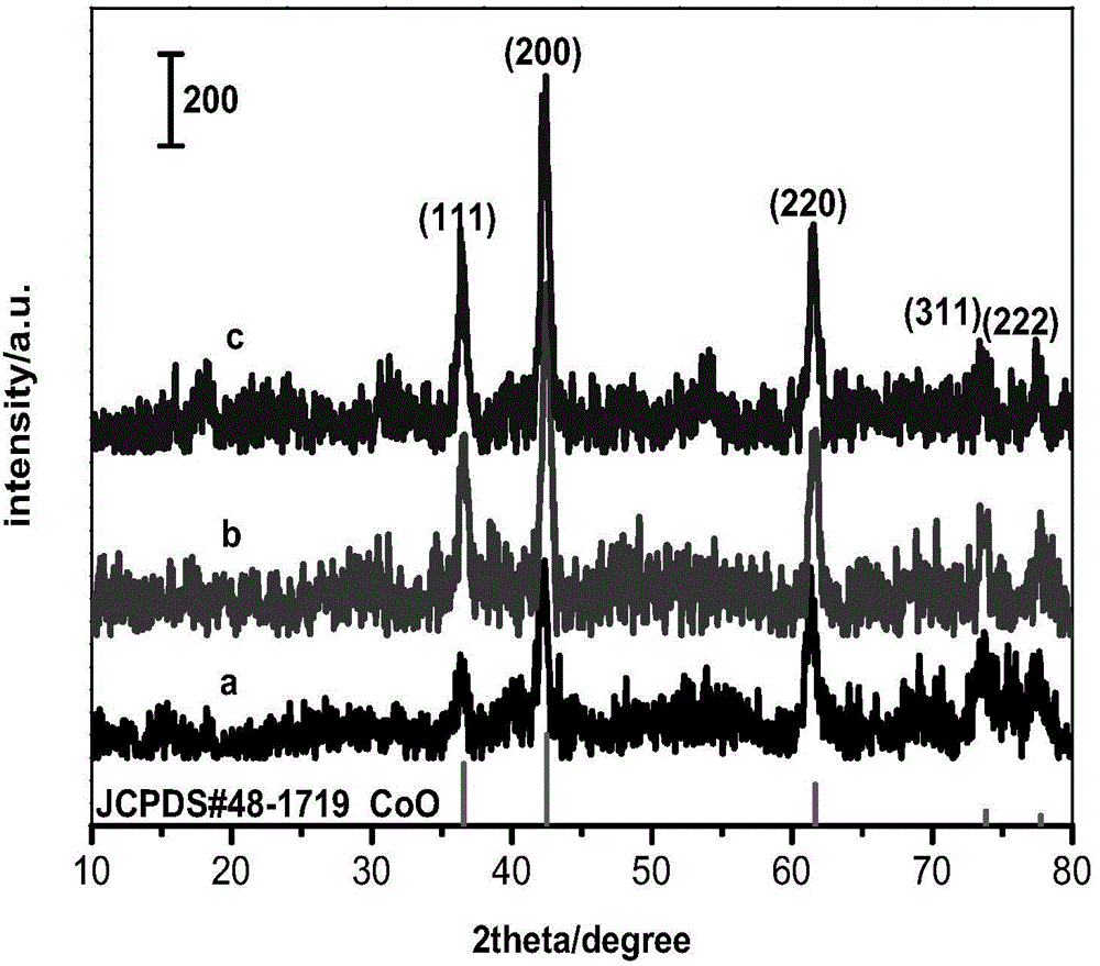 Synthetic method for monodispersed cobalt dioxide nanocrystalline