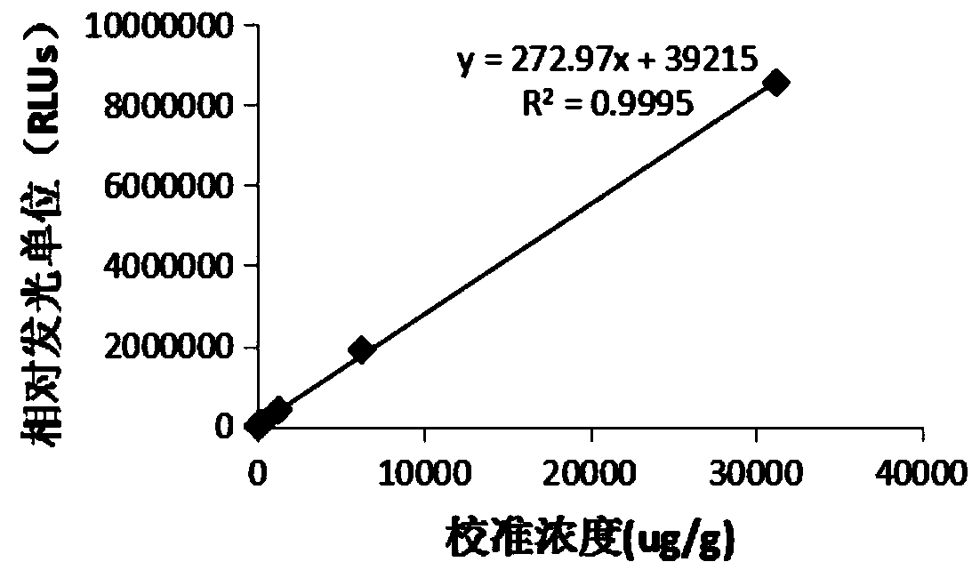 Calprotectin chemiluminescence immunoassay kit and preparation method thereof