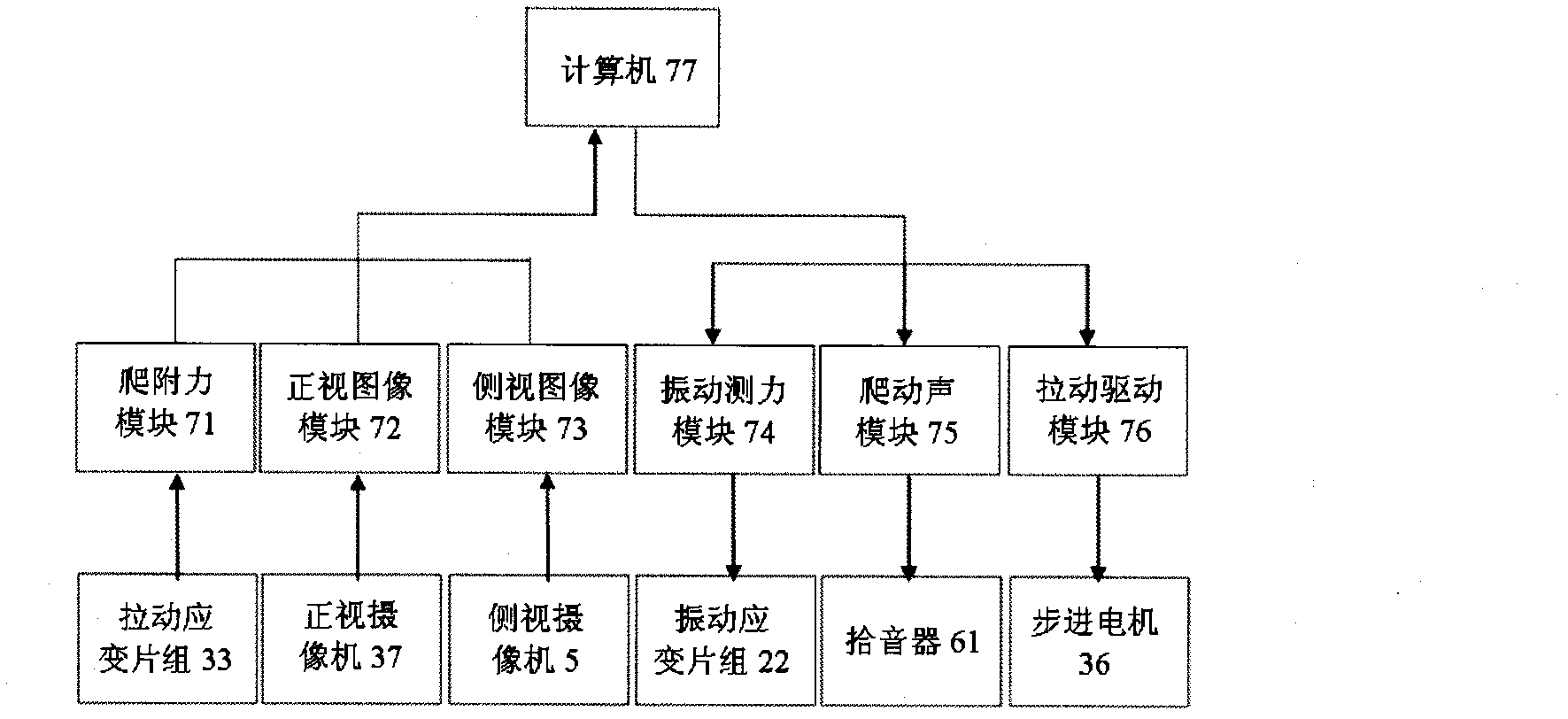 Device for measuring walking and creeping characteristics of insect on three planes