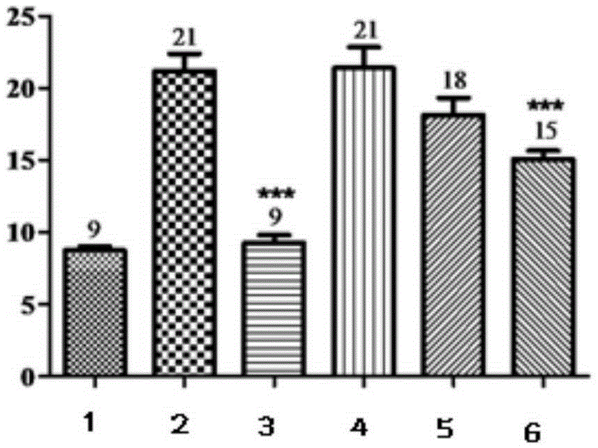 Application of Ruyizhenbao preparation in preparing medicine for nerve injury protection and regeneration