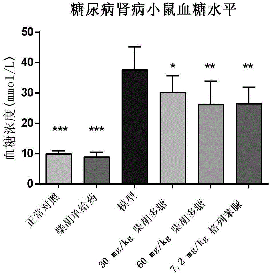 Application of bupleurum polysaccharide in preparation of drugs used for preventing and treating diabetic nephropathy