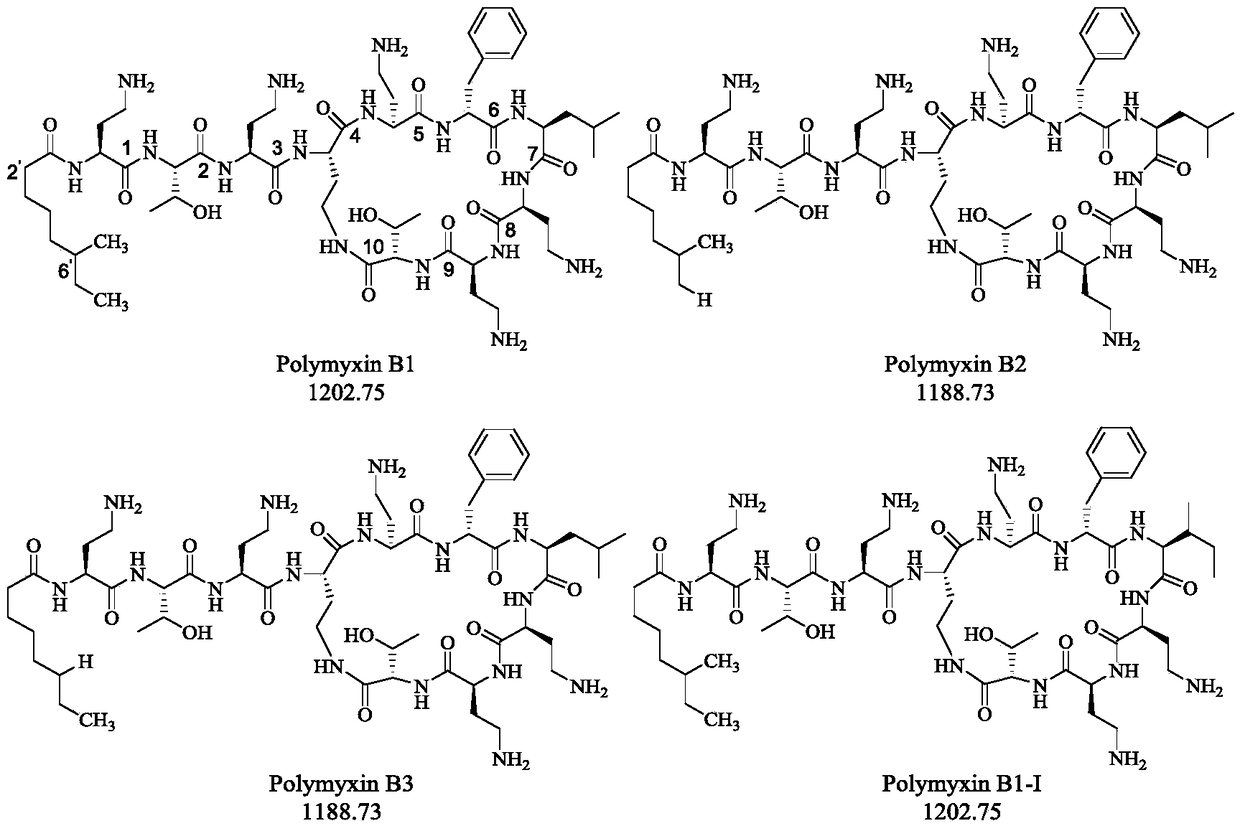 Capillary electrophoretic method for measuring polymyxins antibacterial peptide and running buffer solution thereof