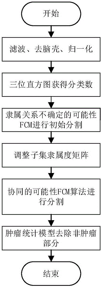 Possibility fuzzy C-means (FCM) algorithm-based magnetic resonance imaging (MRI) tumor image segmentation method and system